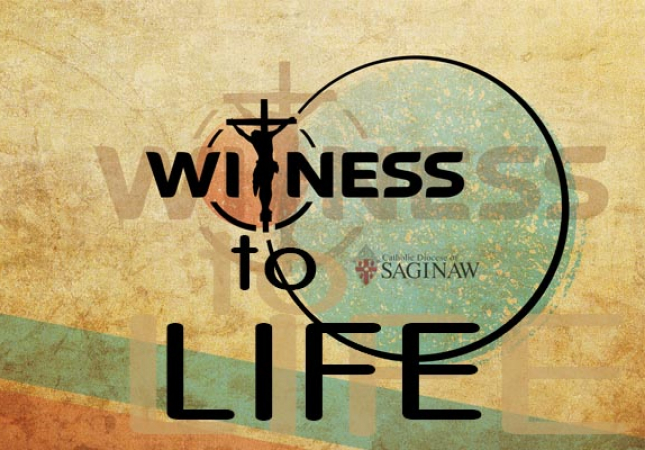 Witness to Life Logo